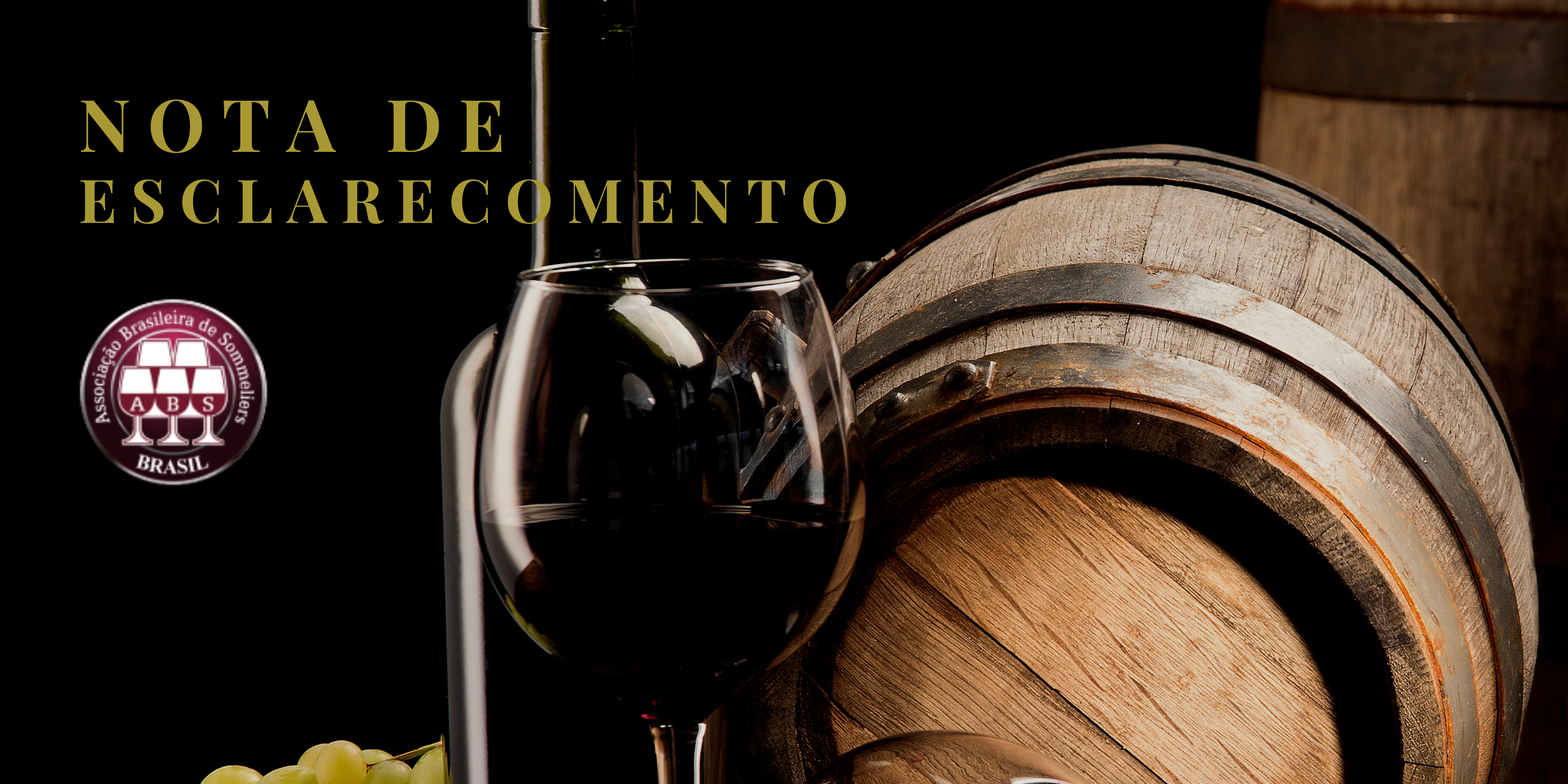 Ilustração blog https://www.abs-brasil.com/noticia/abs-brasil/nota-de-esclarecimento