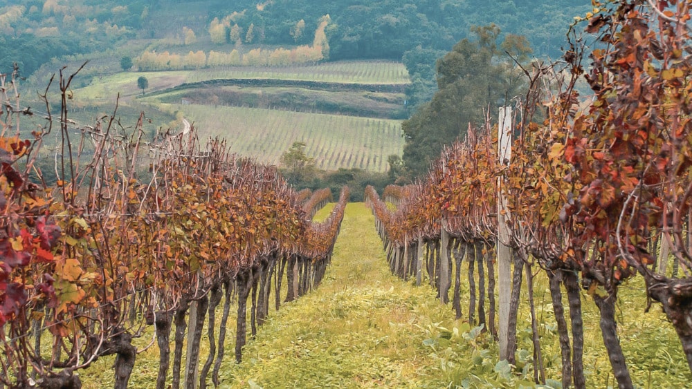 Ilustração blog https://www.abs-brasil.com/noticia/abs-estaduais/o-berco-da-producao